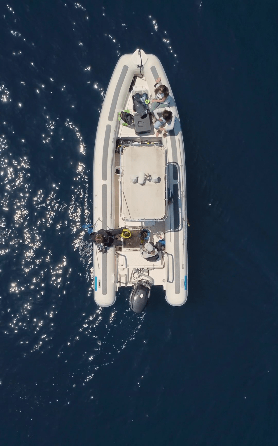 Artemis - Expert Francesca Frau preparing for planting Posidonia Oceanica in a boat in Sardinia