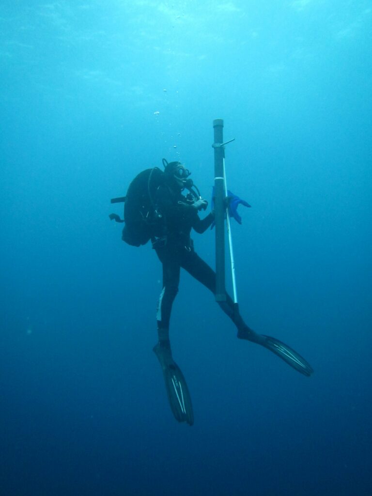 Researcher diving for monitoring activities in the Artemis Interreg Euro Med Project