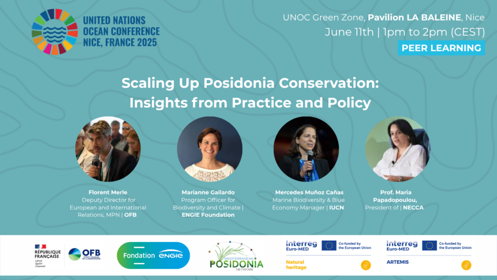 ARTEMIS X UNOC25 panelists 3rd Peer Learning