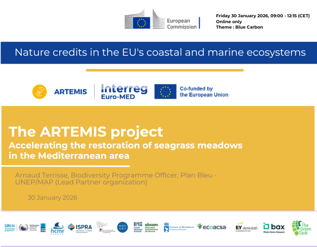 ARTEMIS at the EC webinar 30.01.2026
