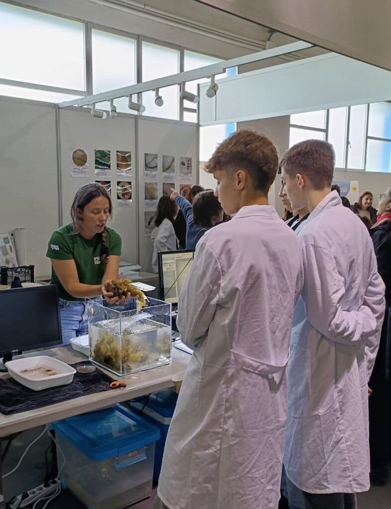 ARTEMIS awarness raising campaign Menorca