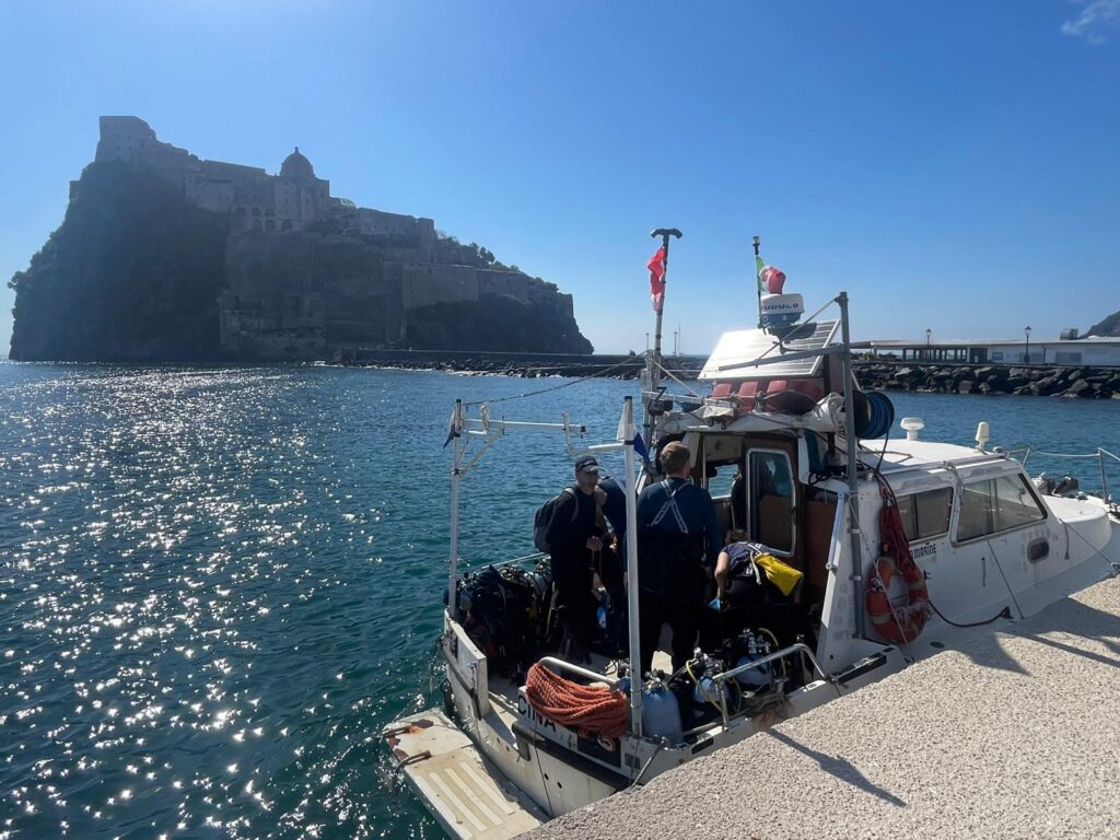 17 Years Later: Ischia Posidonia Restoration Shows Long-Term Success