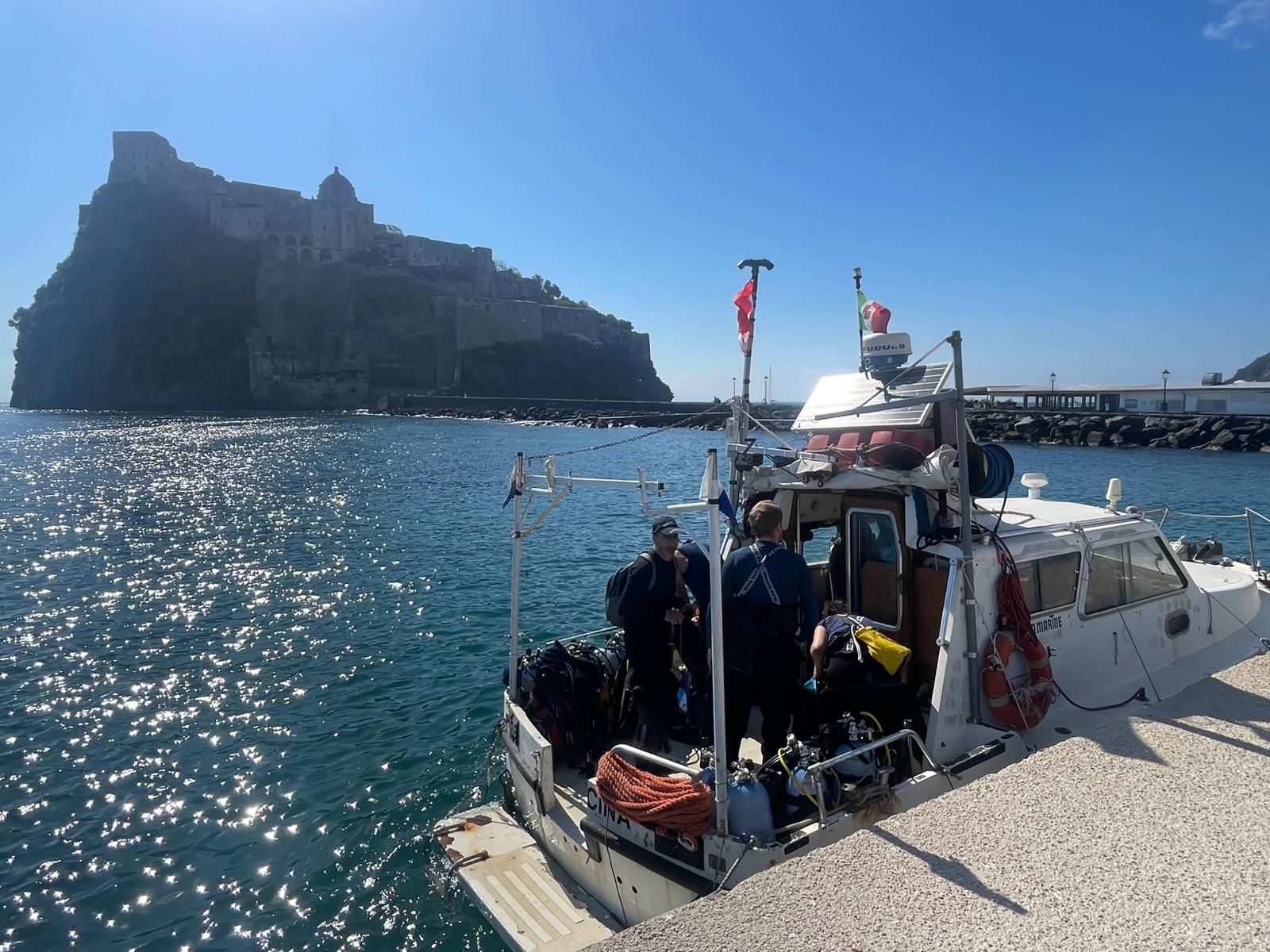 17 Years Later: Ischia Posidonia Restoration Shows Long-Term Success