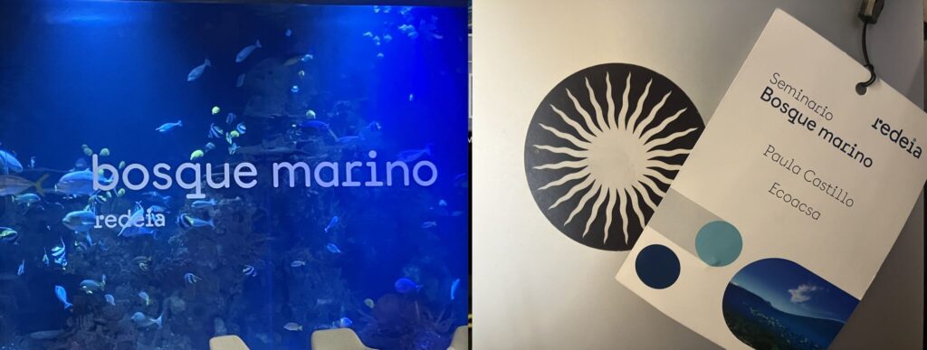 ARTEMIS - Bosque Marino conference by Redeia - Valencia | Spain 