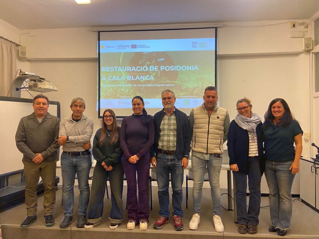 ARTEMIS community meeting Menorca - Nov2025