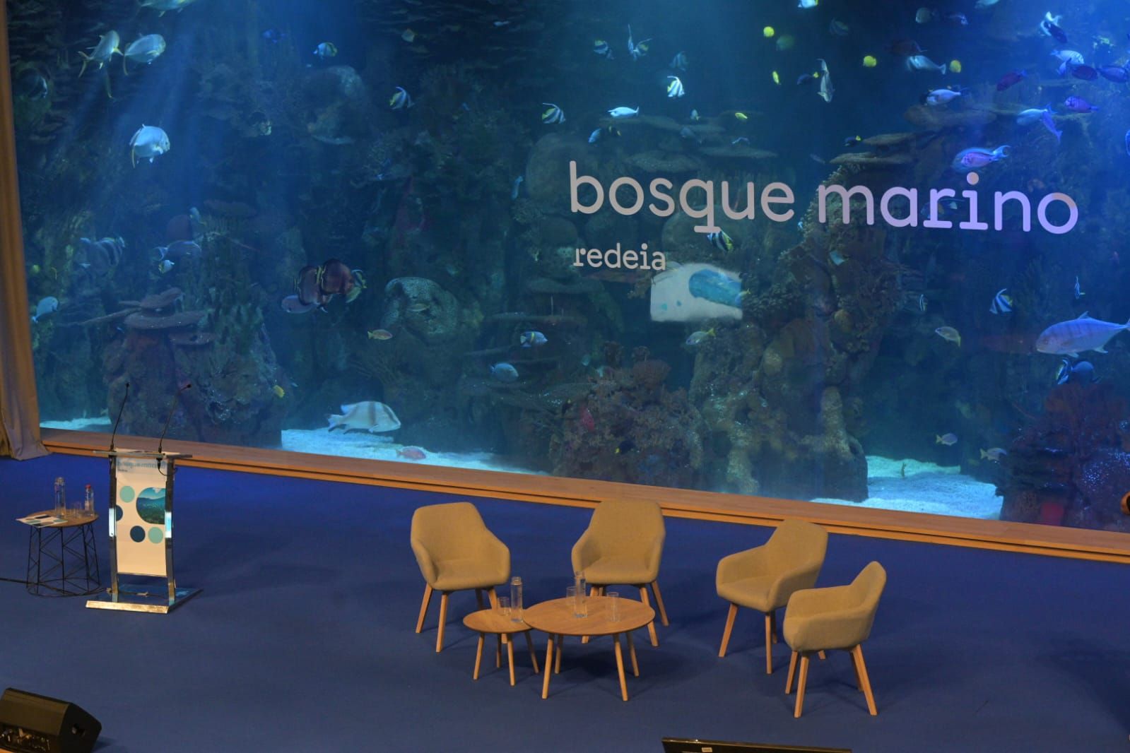 ARTEMIS - Bosque Marino conference by Redeia - Valencia | Spain