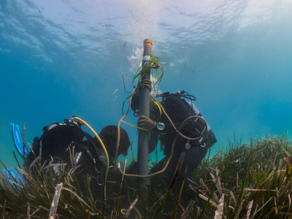 ARTEMIS | Exploring the Depths of Posidonia Oceanica | Photo by Thanos Dailianis