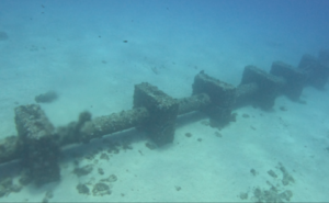 ARTEMIS | Cala Blanca pilot site activities July 2025