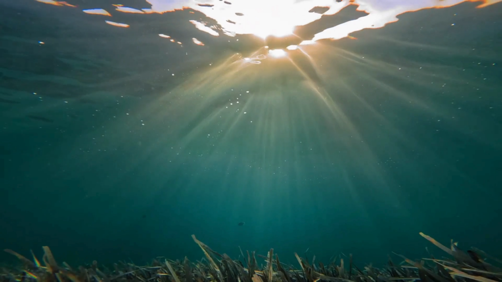 Lights from the surface of the sea water - Artemis documentary series