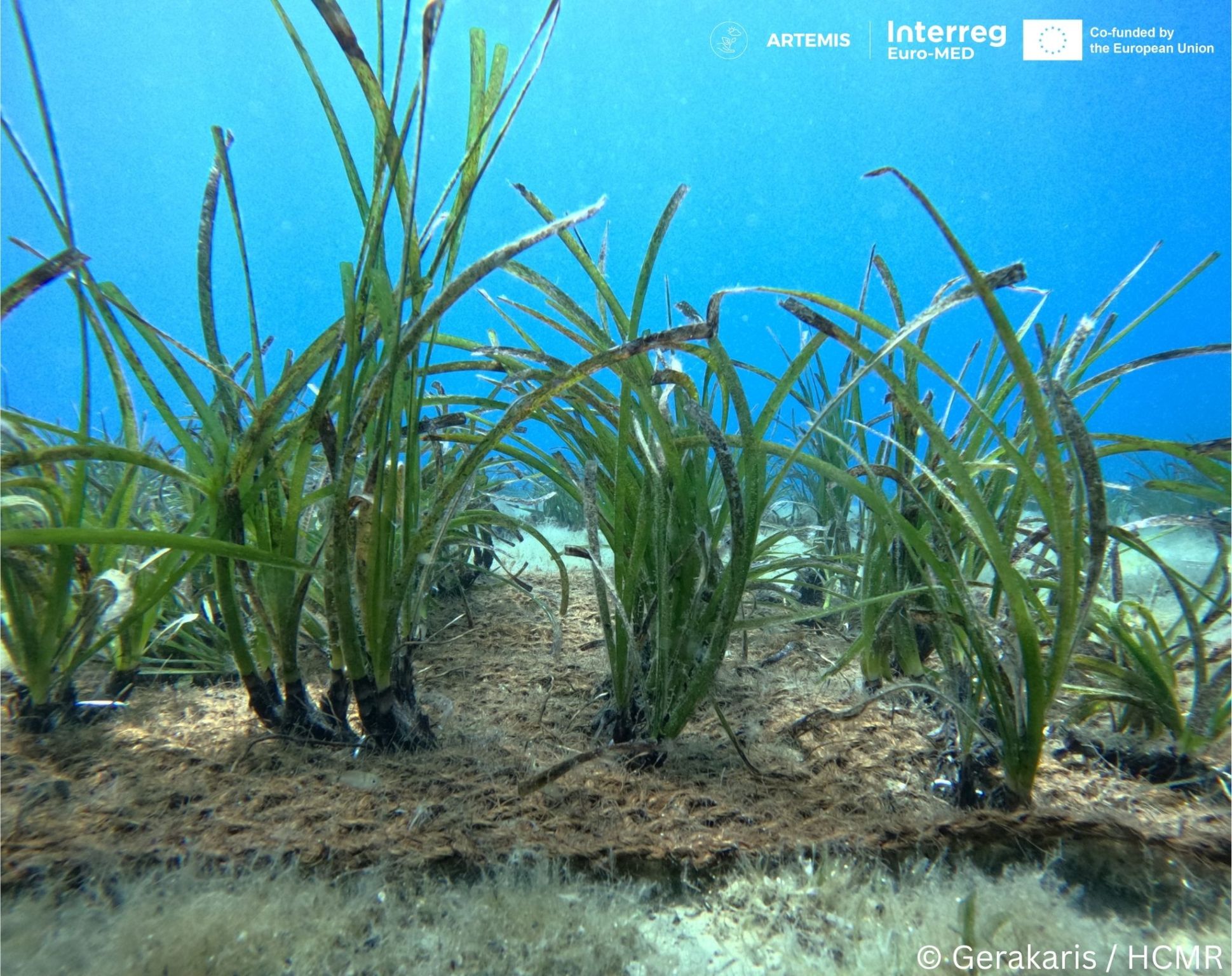 Gerakaris for ARTEMIS 2 ARTEMIS - Seagrass meadows