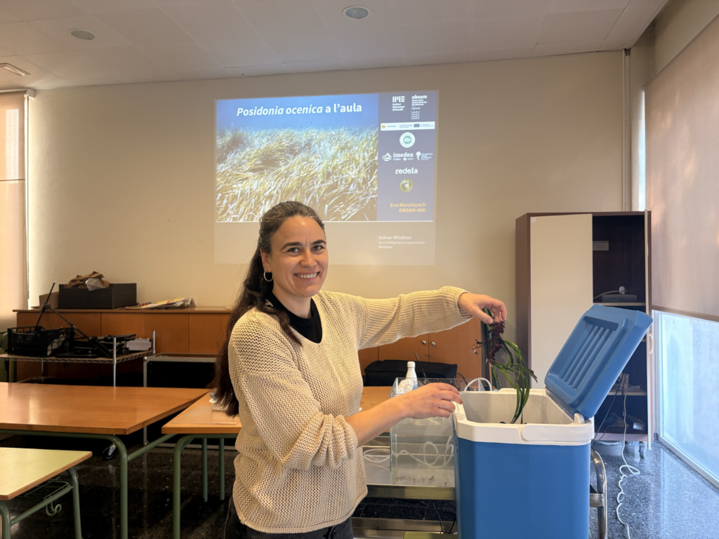 ARTEMIS awarness raising campaign Menorca