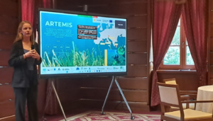 ARTEMIS presented in Kotor Montenegro during the regional training on NbS for coastal adaptation MONTENEGRO