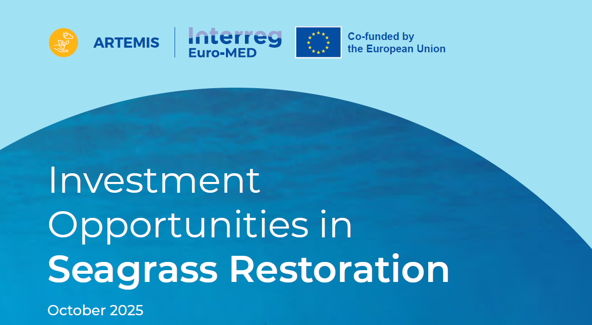 ARTEMIS Investment opportunities in seagrass restoration