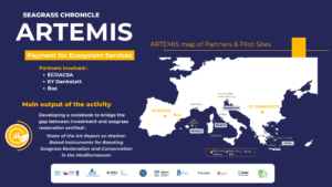 ARTEMIS - Seagrass chronicle 4