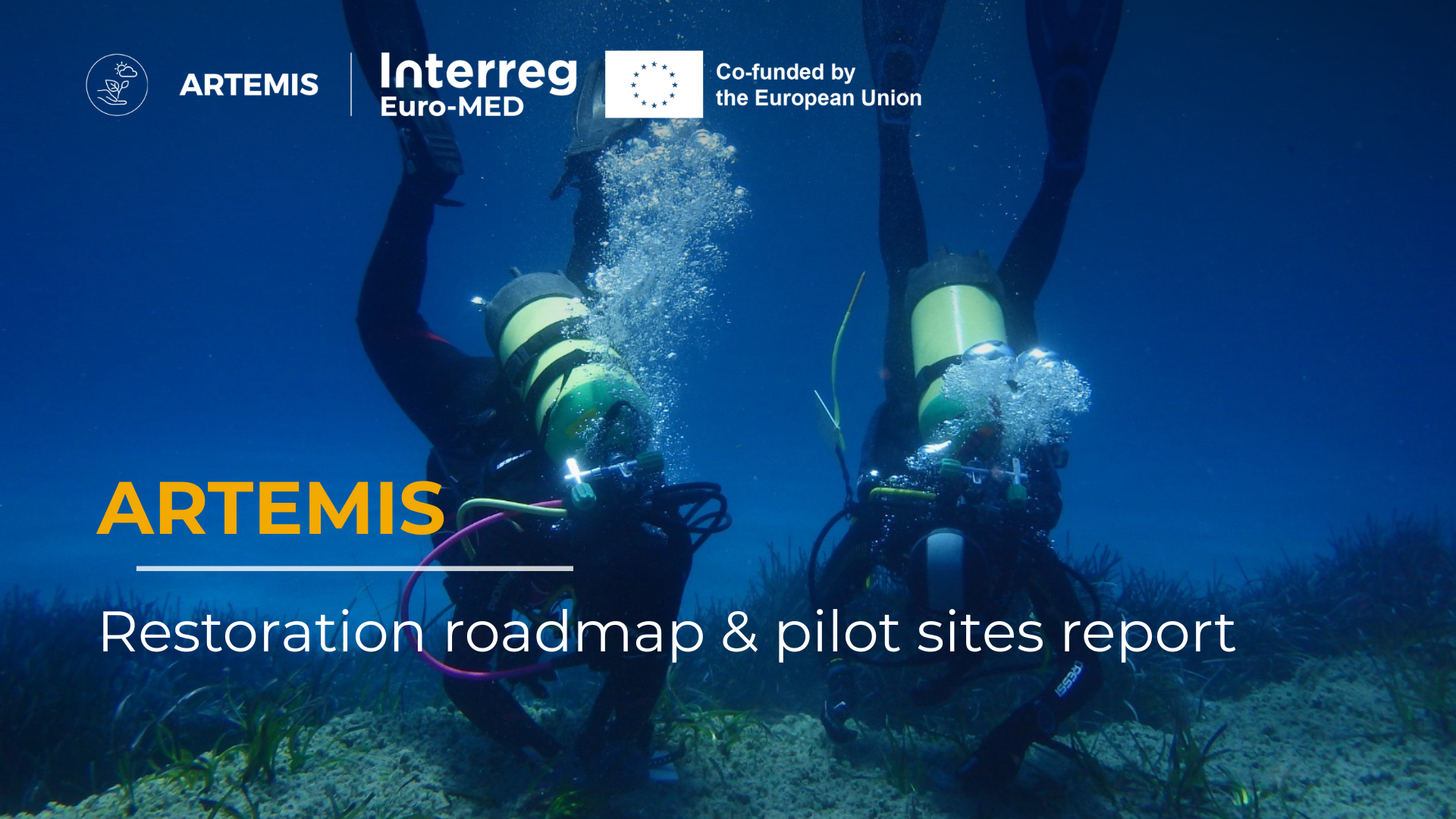 ARTEMIS | Restoration roadmap and pilot sites report