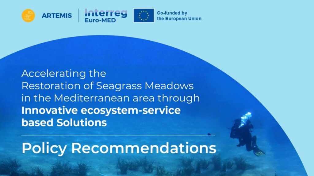 Policy guideline Seagrass restoration | ARTEMIS Interreg Euro-MED