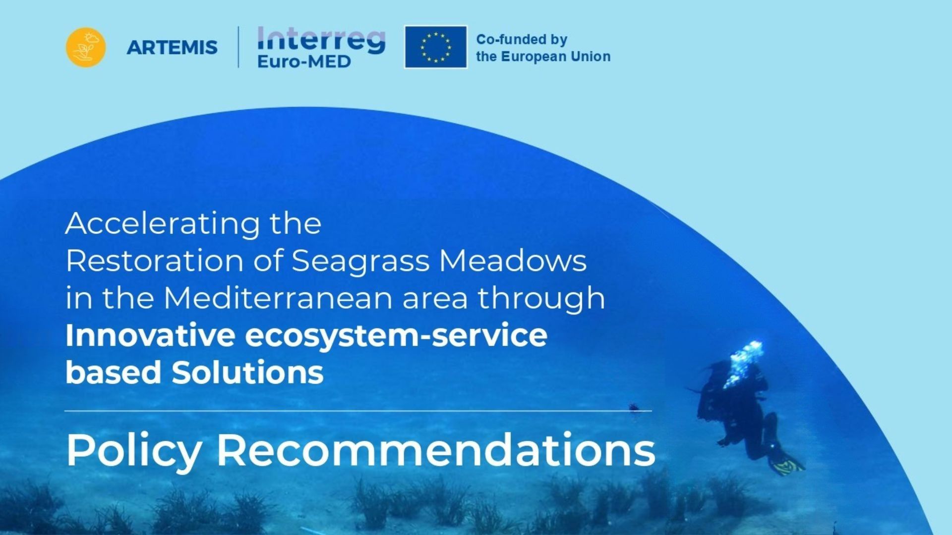 Policy guideline Seagrass restoration | ARTEMIS Interreg Euro-MED Policy guideline Seagrass restoration | ARTEMIS Interreg Euro-MED