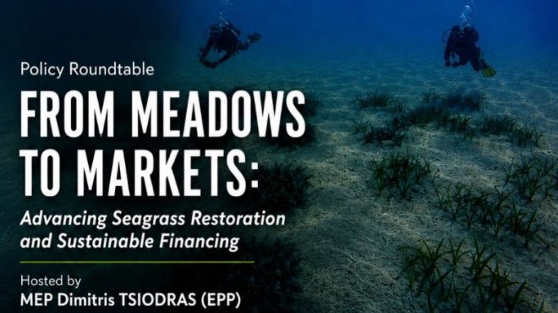 ARTEMIS Investment opportunities in seagrass restoration 