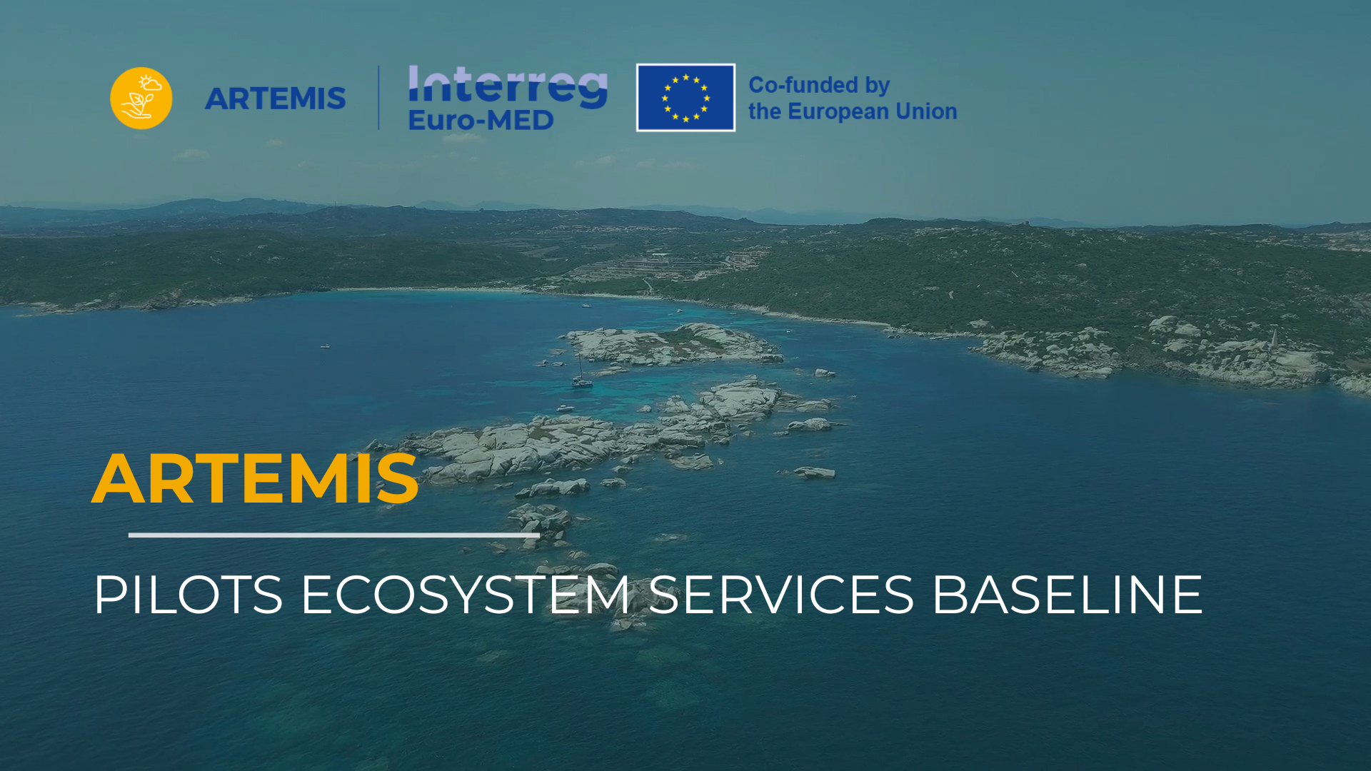 Policy guideline Seagrass restoration | ARTEMIS Interreg Euro-MED