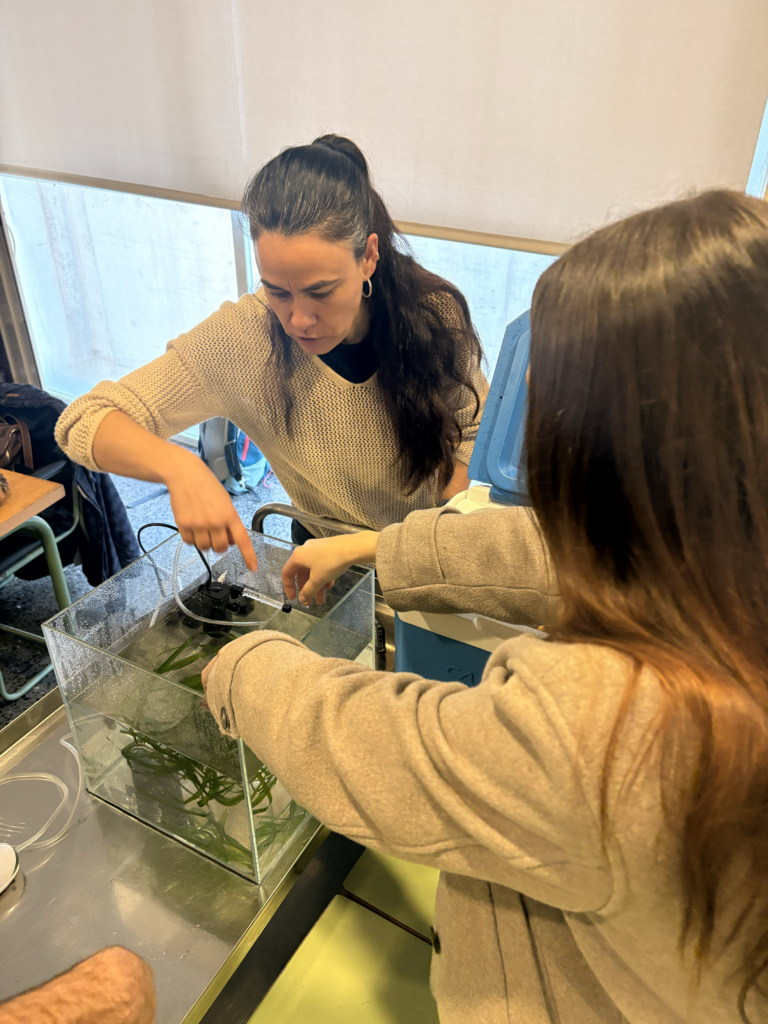 ARTEMIS awarness raising campaign Menorca 