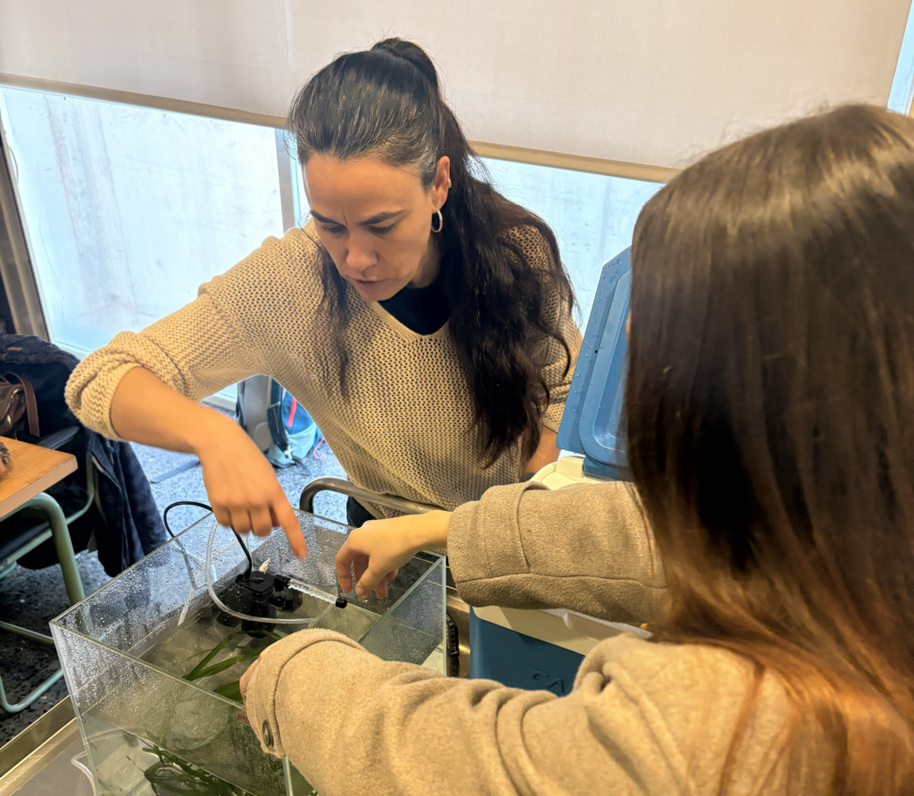 ARTEMIS awarness raising campaign Menorca