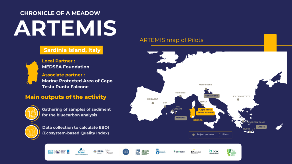 ARTEMIS : Sardinian pilot sites - Capo Testa Punta Falcone