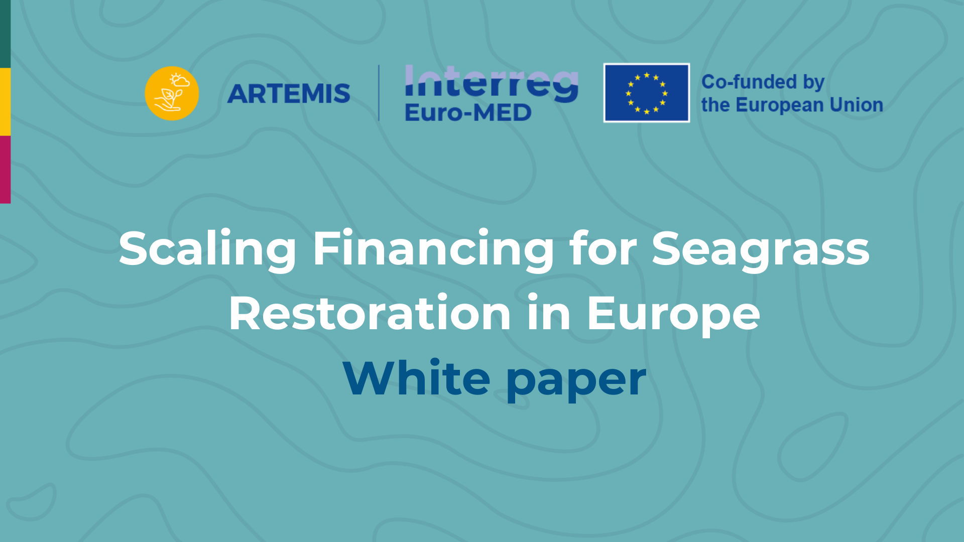 cover white paper scaling financing for seagrass restoration in Europe cover white paper scaling financing for seagrass restoration in Europe