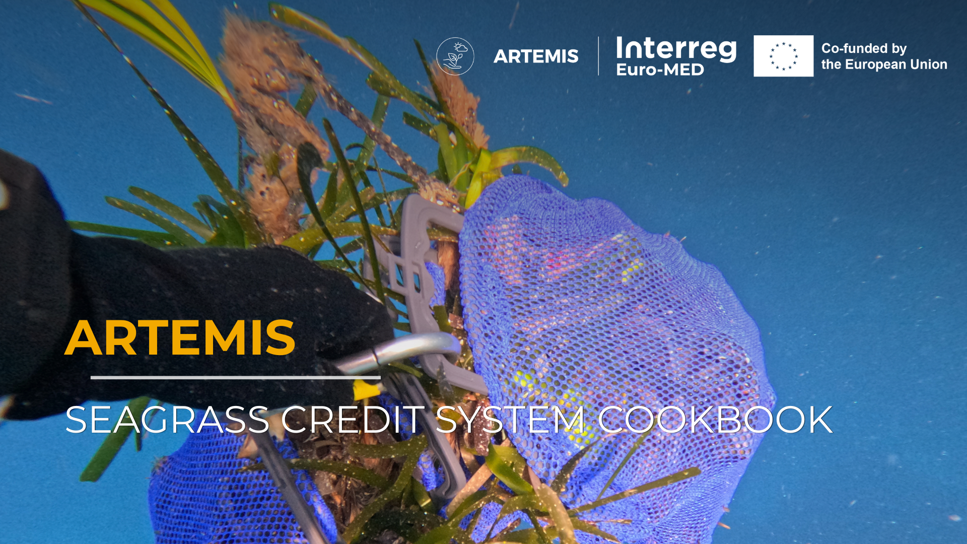Seagrass credit system cookbook - ARTEMIS