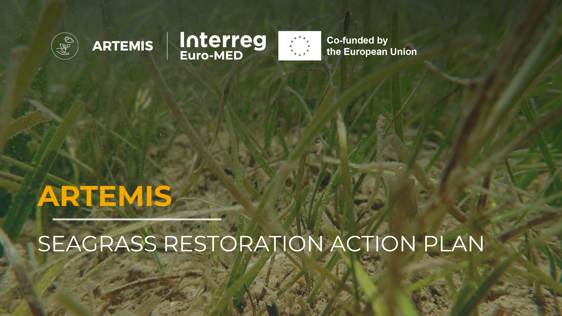 Seagrass Restoration Action Plan - ARTEMIS 